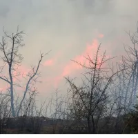 Φωτιά στον Έβρο