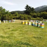 Αντιπυρικά μέτρα