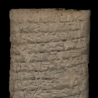 parapono