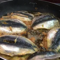 psaria