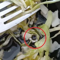 Βίδα σε γεύμα από φοιτητική λέσχη