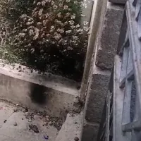 νηπιαγωγειο καταστροφη