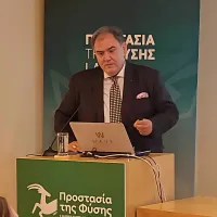dimosthenis_sirigianis