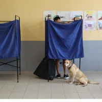 ekloges