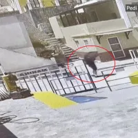 Μάικλ Μόσλεϊ