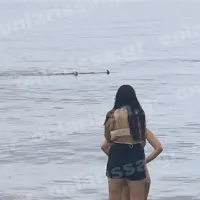Καρχαρίας στη Λάρισα