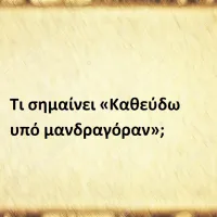 Καθεύδω υπό μανδραγόραν