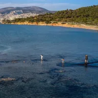 Καβούρι