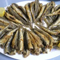 Μικρά ψάρια