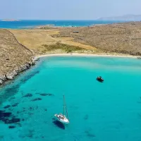 Ρήνεια