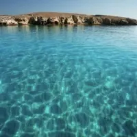 Ρήνεια