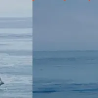 Φαινόμενο Ολλανδού