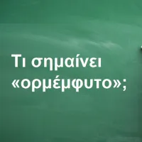 Oρμέμφυτο