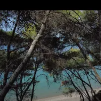 paralia