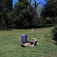 picnic