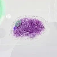 Native Article - Computing - AI