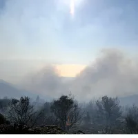 fotia attiki2
