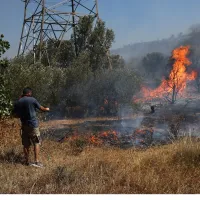 Φωτιά στο Κορωπί