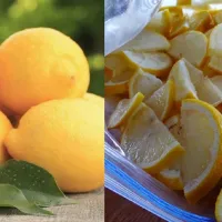 lemonia