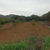 χιος