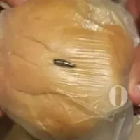 σχολικο γευμα
