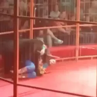 tsikro