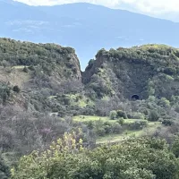 καρυες