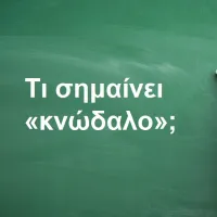 Κνώδαλο