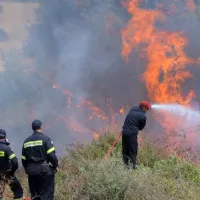 πυρκαγιά πυροσβεστική