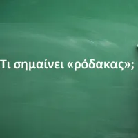 Ρόδακας