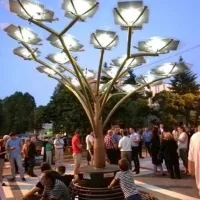 δεντρο