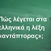 Αντάπτορας