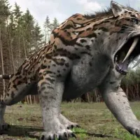 arhaiozoo