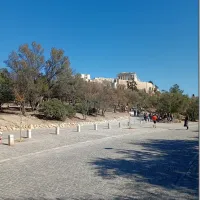 ελιες