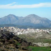 ανι