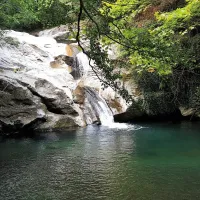 πηλιο
