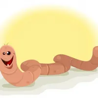 skouliki