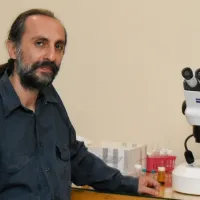 διακριση