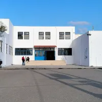 αλιβ