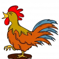 kokoras