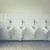 τοιλε