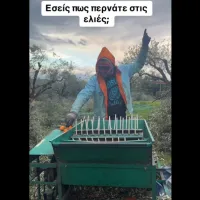 video_elies