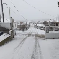 xionia
