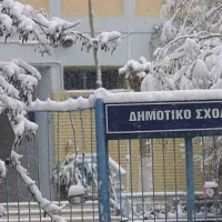 kleista sholeia