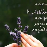 Βιβλίο: Η Λεβάντα που μου χάρισες… μαράθηκε