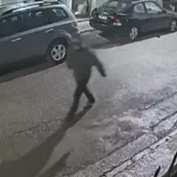 Περιστέρι φοιτήτρια