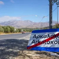 arkaloxori