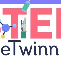 stem5