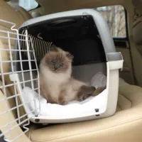 gataki