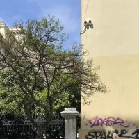 καμερα1